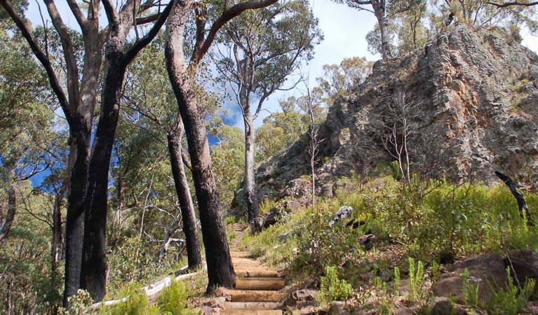 Mount Coryah walking track, Mount Kaputar National Park. Photo: Ian Smith