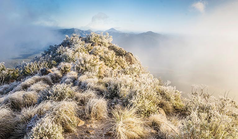 Views from Mount Kaputar Summit lookout. Photo: Simone Cottrell/OEH