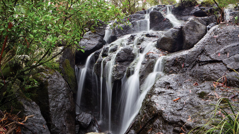 Mount Kaputar National Park. Photo: Rob Cleary