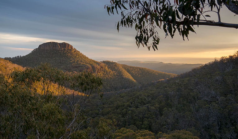 The view from Euglah Rock lookout, overlooking a valley and Euglah Rock. Photo credit: Leah Pippos &copy; DPIE