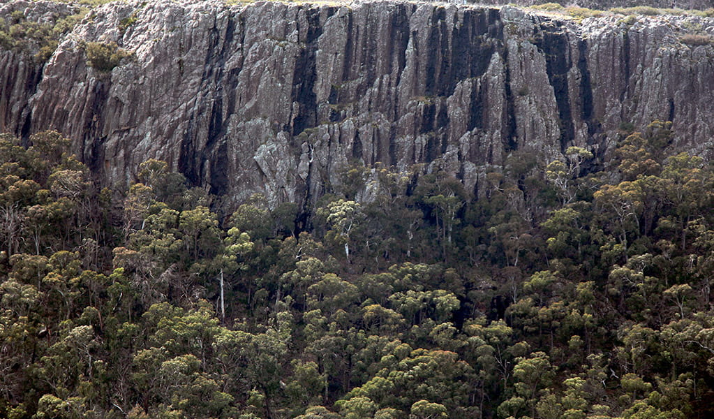 View of the sheer wall of Bundabulla cliffs from Rangers lookout. Photo &copy; Jessica Stokes