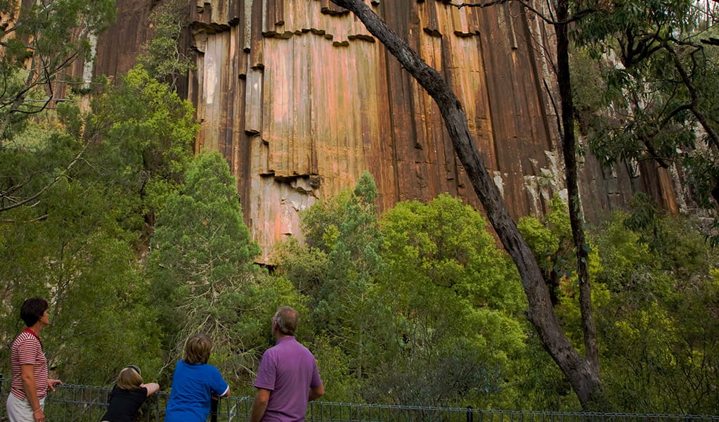 A group of people at Sawn Rocks lookout gaze up at the cliff wall of Sawn Rocks. Photo &copy; Ian Brown