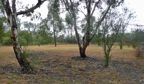 Sawn Rocks picnic area, Mount Kaputar National Park. Photo &copy; Jessica Stokes