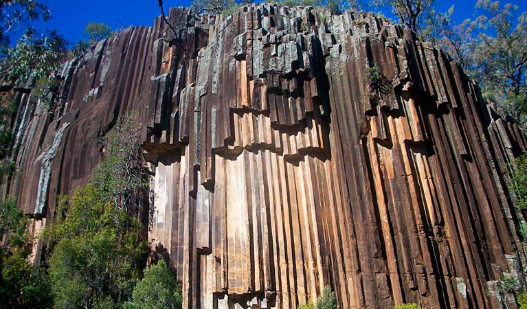 Sawn Rocks picnic area, Mount Kaputar National Park. Photo: Ian Smith