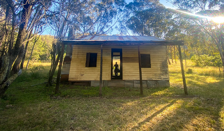 Silhouette of a person in the doorway of Scutts Hut, set in a grassy clearing in open woodland of Mount Kaputar National. Photo credit: Lauren Sparrow &copy; DPIE