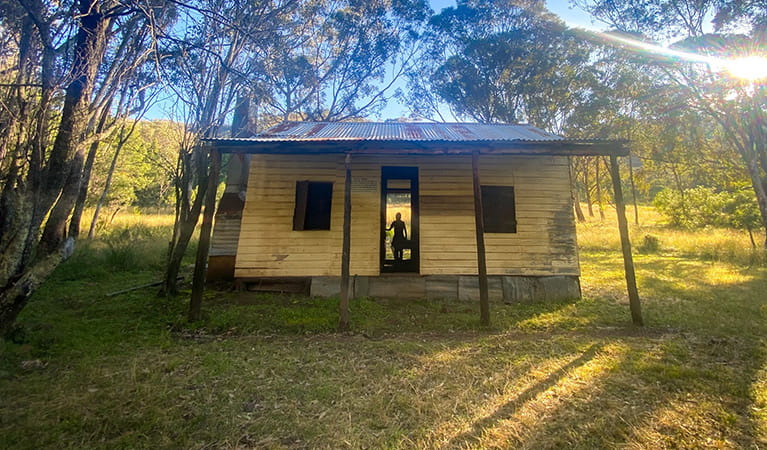 Silhouette of a person in the doorway of Scutts Hut, set in a grassy clearing in open woodland of Mount Kaputar National. Photo credit: Lauren Sparrow &copy; DPIE