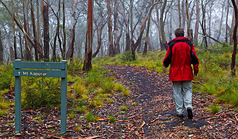 Person walking on the Mount Kaputar Summit walk. Photo &copy; Rob Cleary