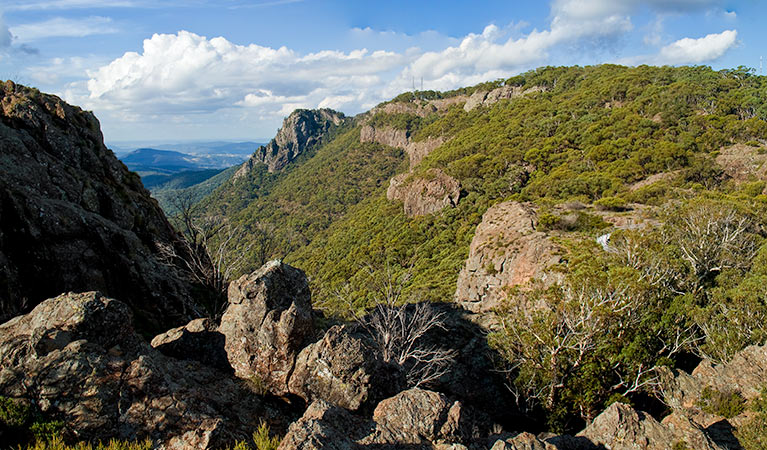 The Governor Summit (Corrunbral Borawah) walking track, Mount Kaputar National Park. Photo: Boris Hlavica &copy; OEH