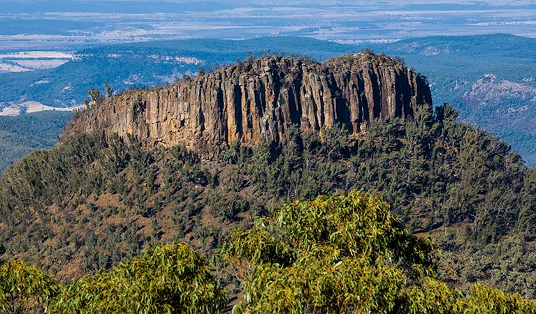 The Governor Summit (Corrunbral Borawah) walking track, Mount Kaputar National Park. Photo &copy; Ian Brown