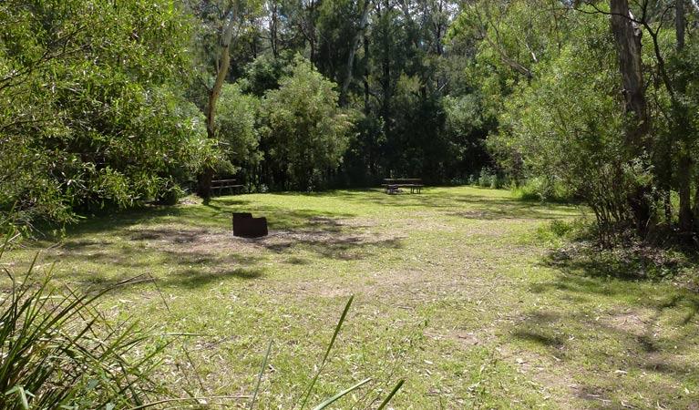 Upper Bullawa Creek picnic area, Mount Kaputar National Park. Photo: Boris Hlavica &copy; OEH