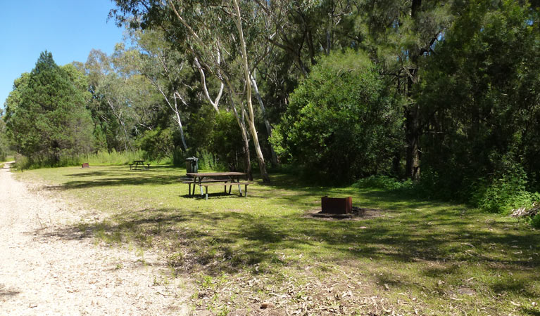 Upper Bullawa Creek picnic area, Mount Kaputar National Park. Photo: Boris Hlavica &copy; OEH
