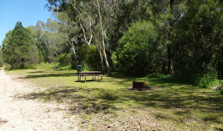 Upper Bullawa Creek picnic area, Mount Kaputar National Park. Photo: Boris Hlavica &copy; OEH