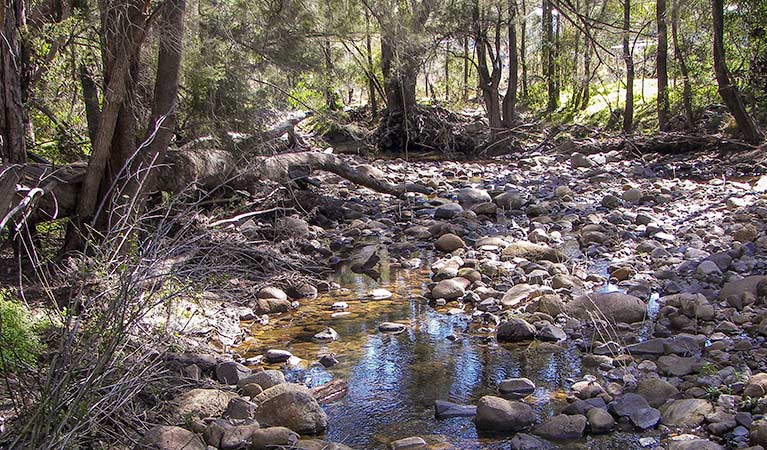 Upper Bullawa Creek picnic area, Mount Kaputar National Park. Photo: Boris Hlavica &copy; OEH