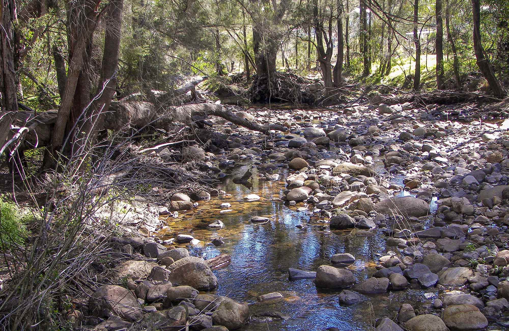 Upper Bullawa Creek picnic area, Mount Kaputar National Park. Photo: Boris Hlavica &copy; OEH