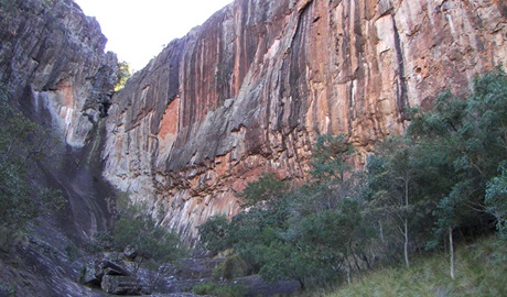 Waa Gorge picnic area, Mount Kaputar National Park. Photo: OEH
