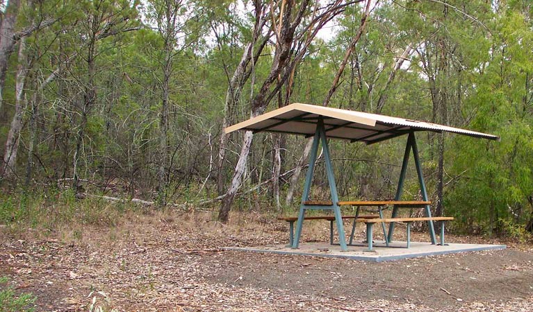 Waa Gorge picnic area, Mount Kaputar National Park. Photo: Daniel Trudgeon