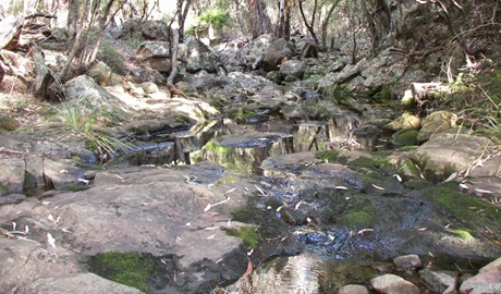 Waa Gorge walking track, Mount Kaputar National Park. Photo &copy; Jessica Stokes