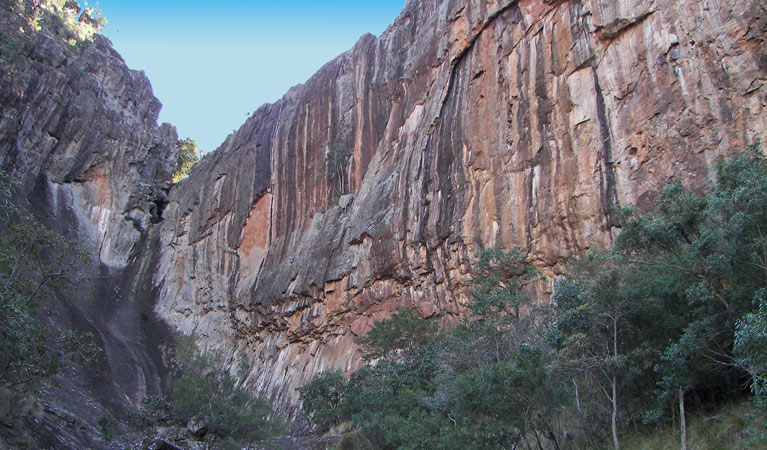 Waa Gorge walking track, Mount Kaputar National Park. Photo: Jessica Stokes