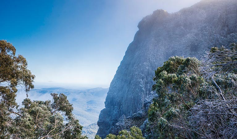 View from West Kaputar lookout. Photo: Simone Cottrell/OEH