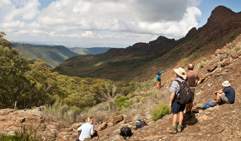 Yulludunida walking track, Mount Kaputar National Park. Photo: Boris Hlavica