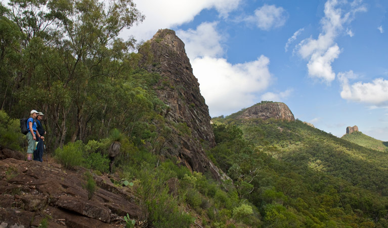 Yulludunida walking track, Mount Kaputar National Park. Photo: Boris Hlavica