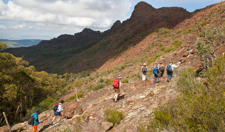 Yulludunida walking track, Mount Kaputar National Park. Photo: Boris Hlavica