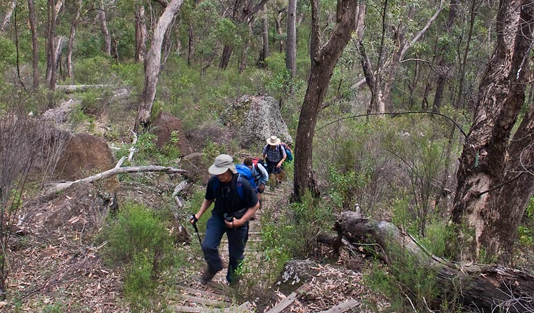 Yulludunida walking track, Mount Kaputar National Park. Photo: Boris Hlavica