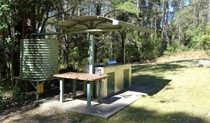 Youngville campground, Mount Royal National Park. Photo: Susan Davis/DPIE