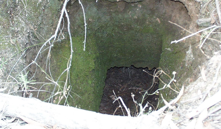 Fourth Crossing picnic area mine shaft, Mullion Range State Conservation Area. Photo: NSW Government