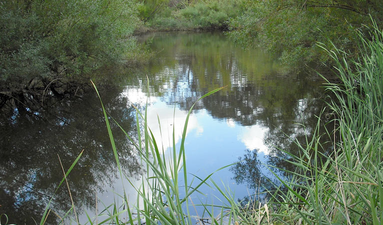 Summer Hill creek, Mullion Range State Conservation Area. Photo: NSW Government