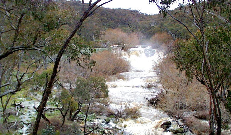 The Falls Water Falls, Mullion Range State Conservation Area. Photo: NSW Government