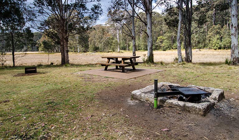 Mummel Gulf National Park, New Country Swamp. Photo: John Spencer/NSW Government