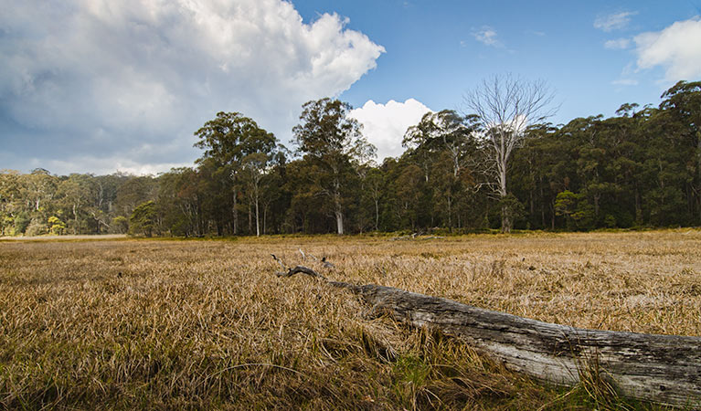 Mummel Gulf National Park. Photo: John Spencer/NSW Government