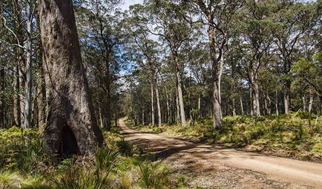 Mummel Gulf National Park. Photo: John Spencer/NSW Government