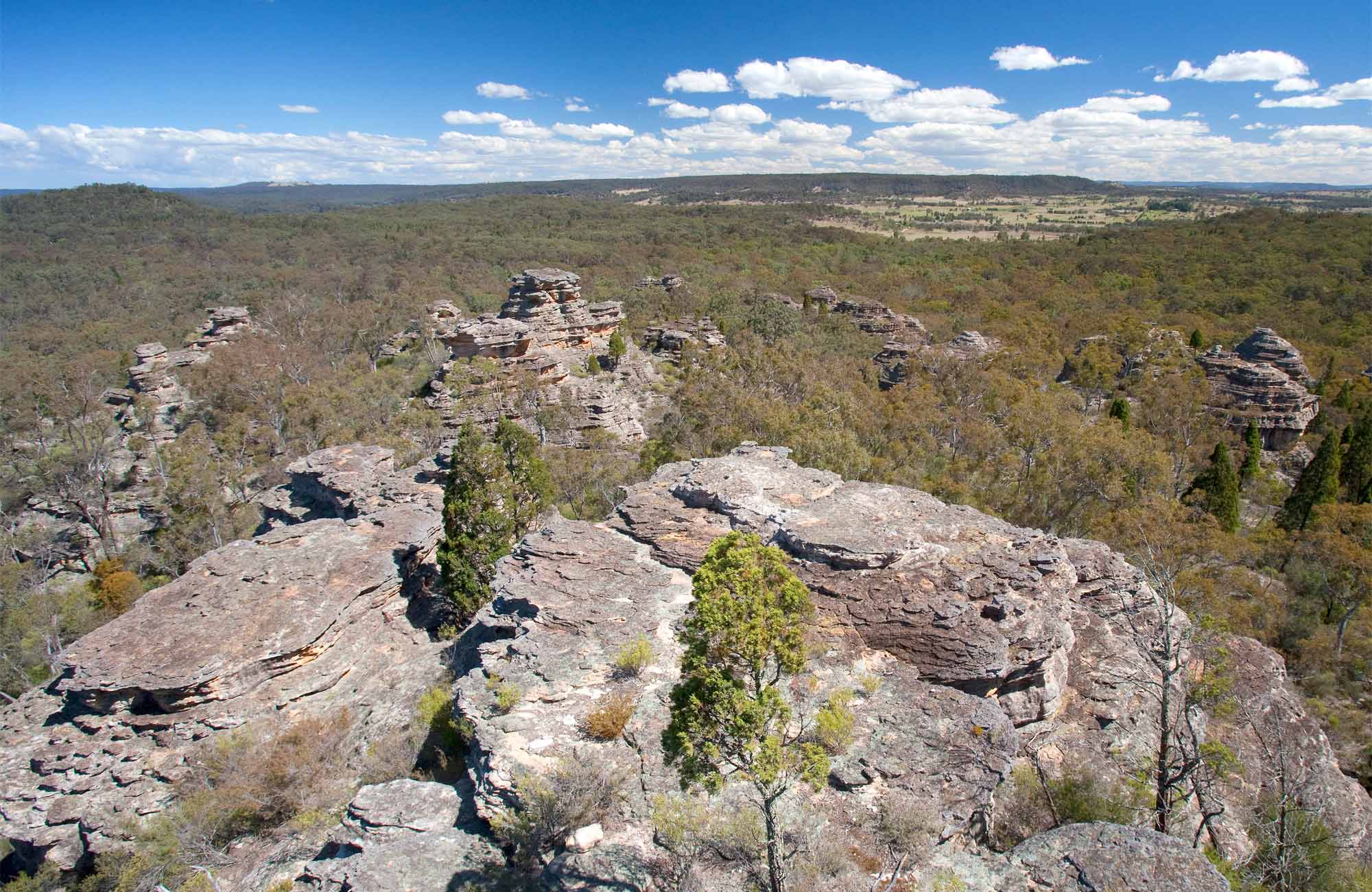 Castle Rocks walking track, Munghorn Nature Reserve. Photo: Nick Cubbin/NSW Government