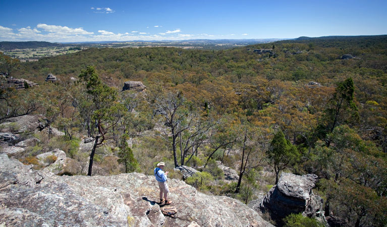 Castle Rocks walking track, Munghorn Nature Reserve. Photo: Nick Cubbin &copy; OEH