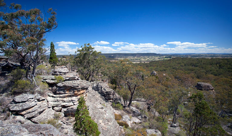 Castle Rocks walking track, Munghorn Nature Reserve. Photo: Nick Cubbin &copy; OEH