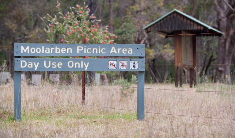 Moolarben picnic area, Munghorn Nature Reserve. Photo: Nick Cubbin/NSW Government