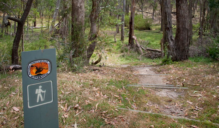 Moolarben picnic area, Munghorn Nature Reserve. Photo: Nick Cubbin/NSW Government