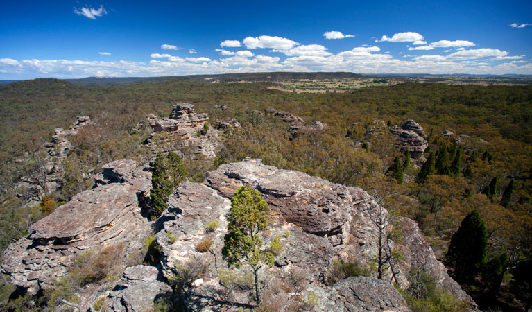 Castle Rocks walking track, Munghorn Nature Reserve. Photo: Nick Cubbin/NSW Government