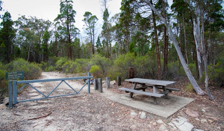 Castle Rocks walking track, Munghorn Nature Reserve. Photo: Nick Cubbin/NSW Government