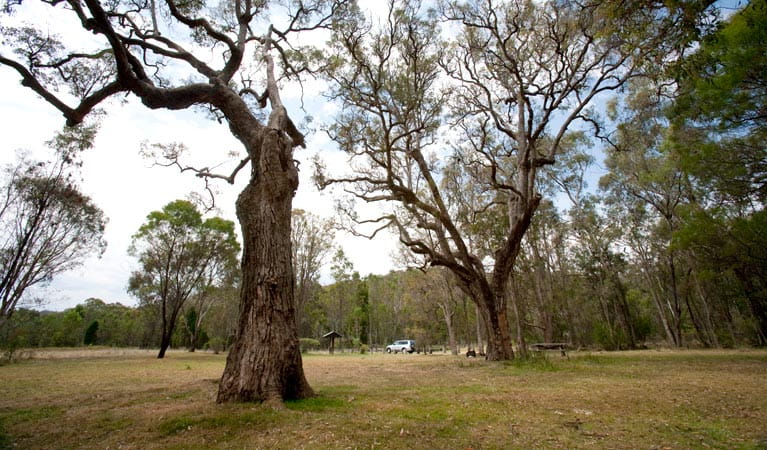 Moolarben picnic area, Munghorn Nature Reserve. Photo: Nick Cubbin/NSW Government