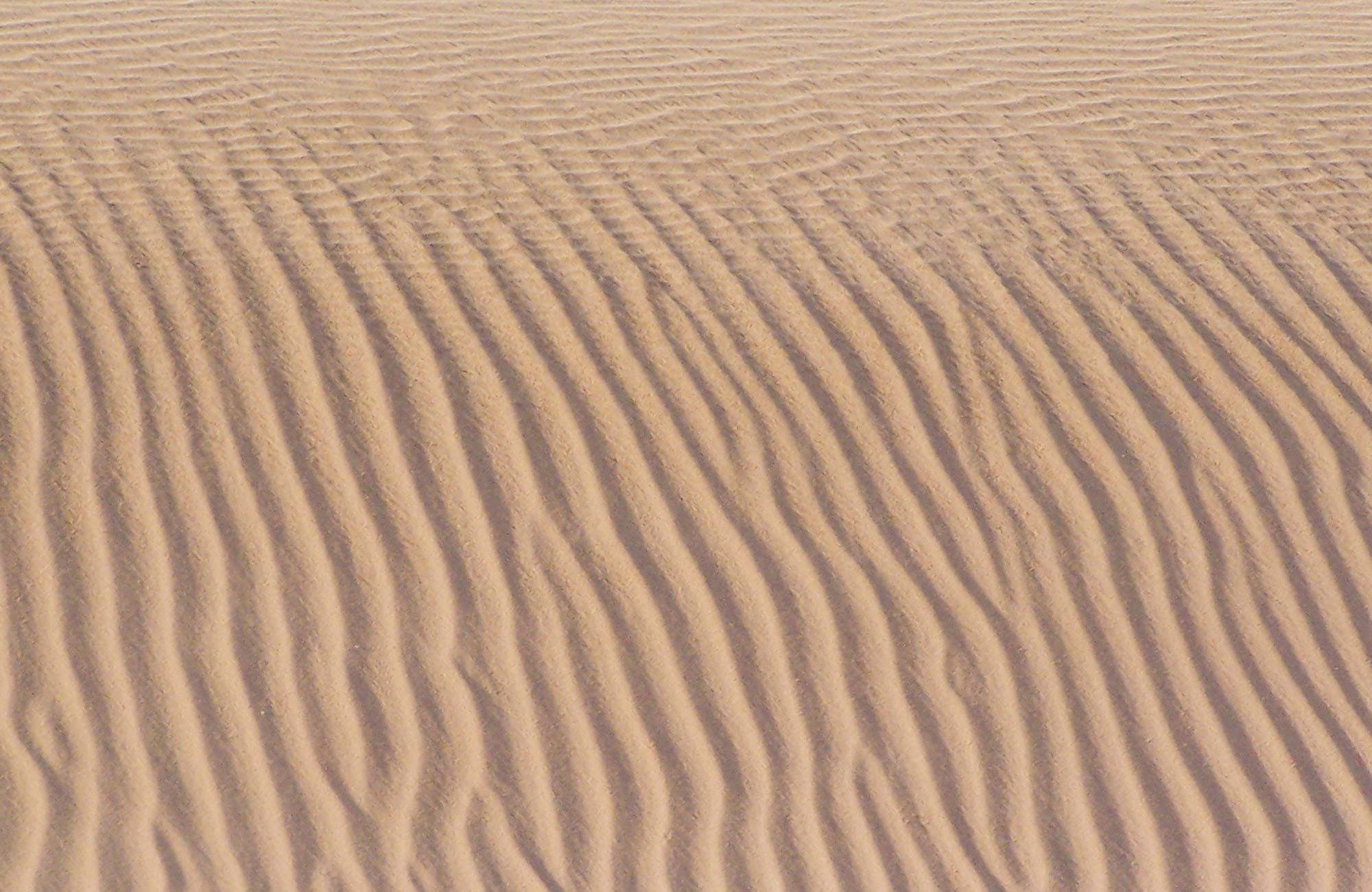 Close up of sand dunes, Mungo National Park. Photo:OEH
