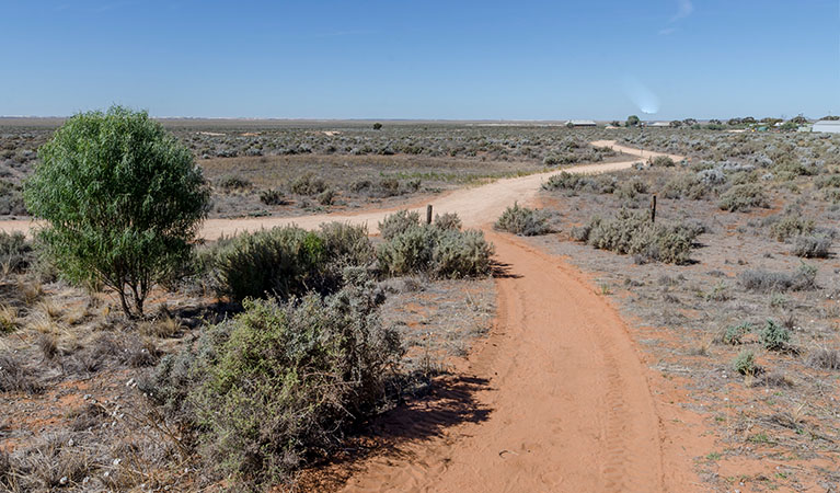 Foreshore walk, Mungo National Park. Photo: John Spencer &copy; DPE