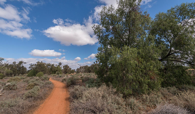 Foreshore walk, Mungo National Park. Photo: John Spencer &copy; DPE