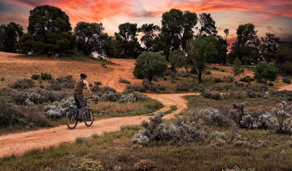A cyclist rides through a sandy section of Mungo lakebed loop trail in Mungo National Park. Photo: Aaron Davenport/DPE