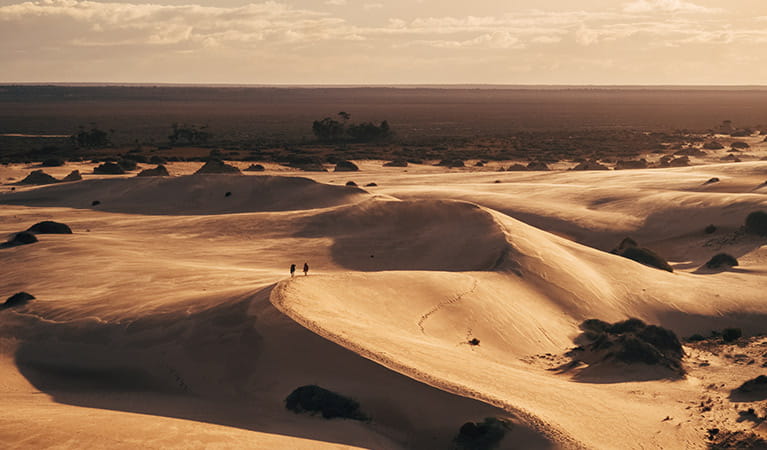 Aerial view of 2 visitors walking sand dunes in Mungo National Park. Photo: &copy; Melissa Findley