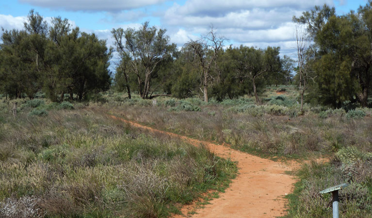 Grasslands nature trail in Mungo National Park. Photo: Lars Kogge