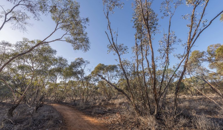 Mallee Stop walking track in Mungo National Park. Photo: John Spencer &copy; OEH