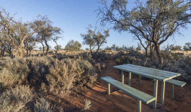A picnic table at Rosewood picnic area in Mungo National Park. Photo: John Spencer &copy; DPIE